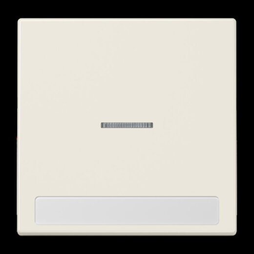 Jung Wippe 1fach mit Lichtleiter, mit Schriftfeld, Duroplast, Serie LS, weiß LS990NAKO5