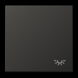 Jung Wippe 1fach, Symbol Licht, Aluminium lackiert, Serie...