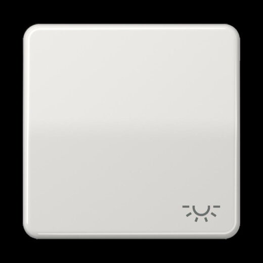 Jung Wippe 1fach, Symbol Licht, Duroplast, Serie CD, lichtgrau CD590LLG
