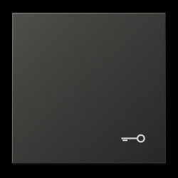 Jung Wippe, Symbol Tür, Aluminium lackiert, Serie...