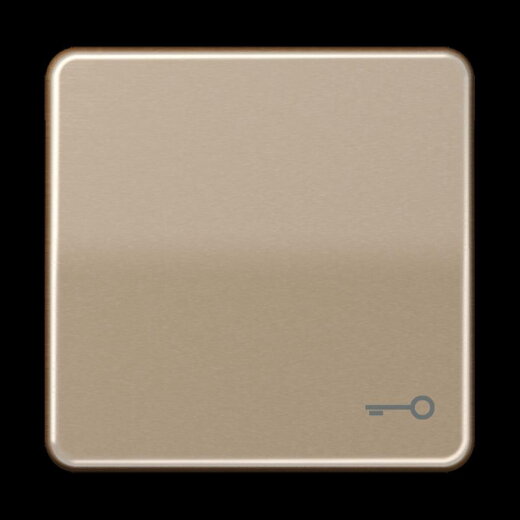 Jung Wippe, Symbol Tür, Aluminium eloxiert, Serie CD, gold-bronze CD590TGB