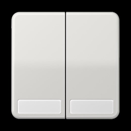 Jung Wippe 2fach, mit Schriftfeld, Duroplast, Serie CD, lichtgrau CD595NALG