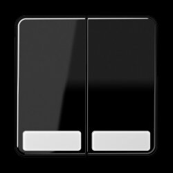 Jung Wippe 2fach, mit Schriftfeld, Duroplast, Serie CD,...