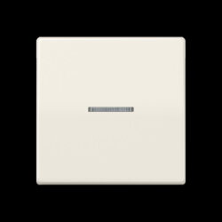 Jung Wippe 1fach mit Lichtleiter, Thermoplast, Serie AS,...