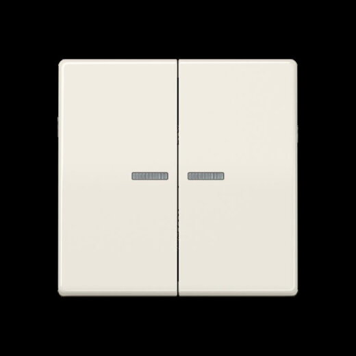 Jung Wippe 2fach mit Lichtleiter, Thermoplast, Serie AS, weiß AS591-5KO5BF