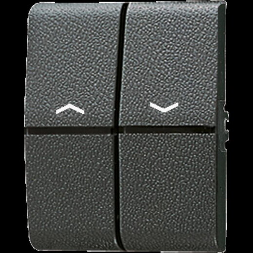 Jung Wippe 2fach, mit Pfeilsymbolen, Thermoplast, WG 800, anthrazit 805P