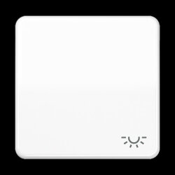 Jung Wippe 1fach, Symbol Licht, Duroplast, Serie CD,...