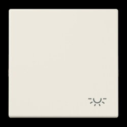 Jung Wippe 1fach, Symbol Licht, Duroplast, Serie LS,...