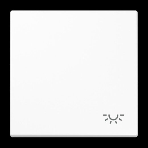 Jung Wippe 1fach, Symbol Licht, Duroplast, Serie LS, alpinweiß LS990LWW