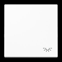 Jung Wippe 1fach, Symbol Licht, Duroplast, Serie LS,...