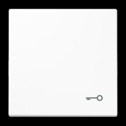 Jung Wippe, Symbol Tür, Duroplast, Serie LS,...