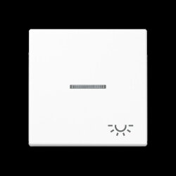 Jung Wippe 1fach mit Lichtleiter, Symbol Licht,...