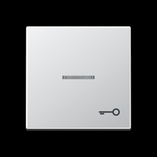 Jung Wippe mit Lichtleiter, Symbol Tür, Serie A, aluminium A590KO5TAL