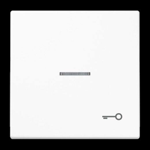 Jung Wippe mit Lichtleiter, Symbol Tür, Duroplast, Serie LS, alpinweiß LS990KO5TWW