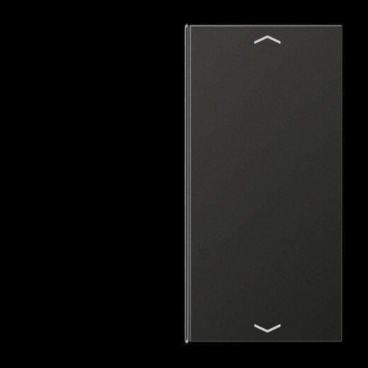 Jung Taste 2fach, mit Pfeilsymbolen, F40, Serie LS, anthrazit (lackiertes Aluminium) AL2402TSAPAN