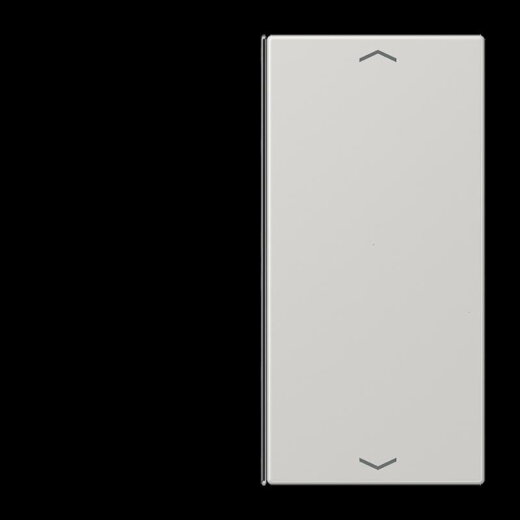 Jung Taste 2fach, mit Pfeilsymbolen, F40, Serie LS, lichtgrau LS402TSAPLG