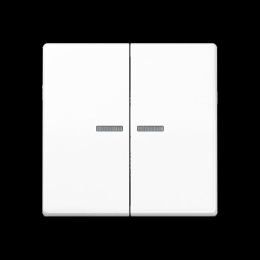 Jung Wippe 2fach mit Lichtleiter, Duroplast, Serie AS, alpinweiß AS591-5KO5WW