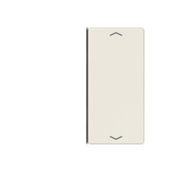 Jung Taste 2fach, mit Pfeilsymbolen, F40, Serie AS,...