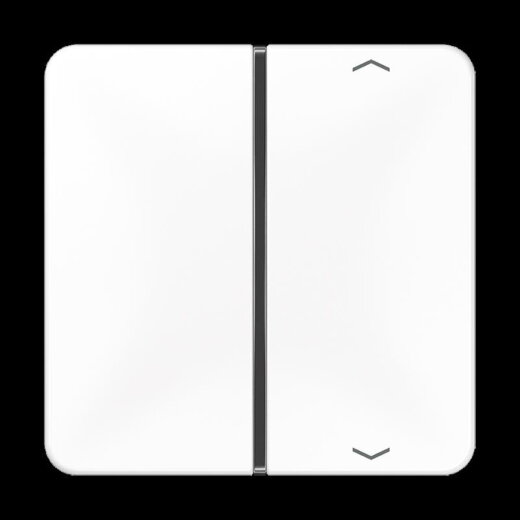 Jung Taste 1fach, mit Pfeilsymbolen, F40, Serie CD, alpinweiß CD401TSAPWW