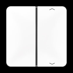 Jung Taste 1fach, mit Pfeilsymbolen, F40, Serie CD,...