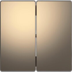 Merten Wippe Nickelmetallic System Design