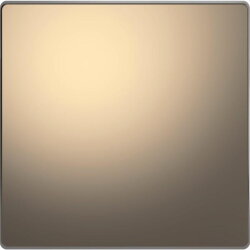 Merten Wippe Nickelmetallic System Design