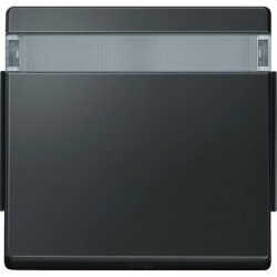 Merten Wippe 343914 anthrazit AQUADESIGN