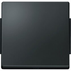 Merten Wippe 343114 anthrazit AQUADESIGN