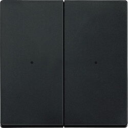 Merten Wippe 625214 anthrazit System M