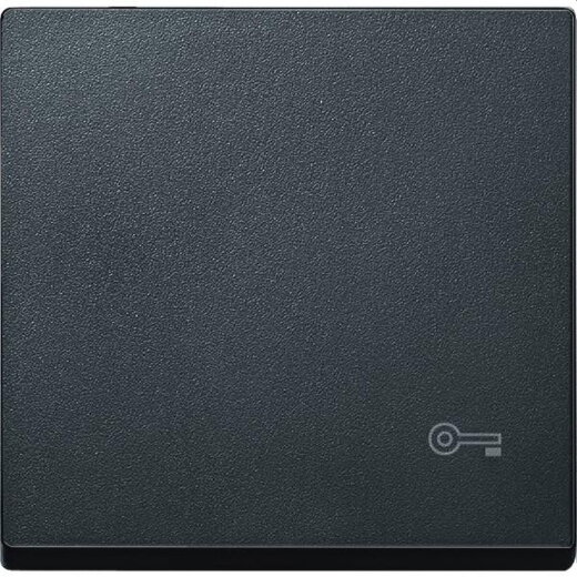 Merten Wippe MEG3303-0414 anthrazit System M