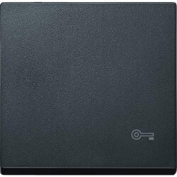 Merten Wippe MEG3303-0414 anthrazit System M