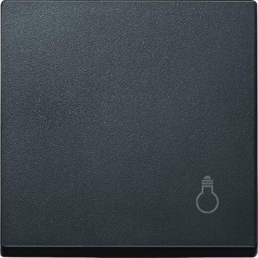 Merten Wippe MEG3302-0414 anthrazit System M