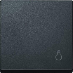 Merten Wippe MEG3302-0414 anthrazit System M