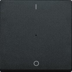 Merten Wippe MEG5211-0414 1fach anthrazit