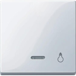 Merten Wippe 435925 aktivweiss glaenzend System M