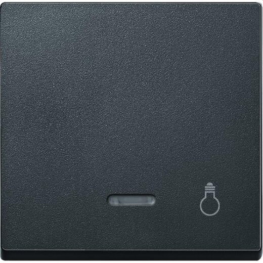 Merten Wippe 430914 anthrazit System M