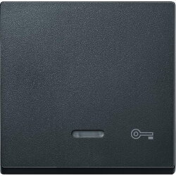 Merten Wippe 430714 anthrazit System M