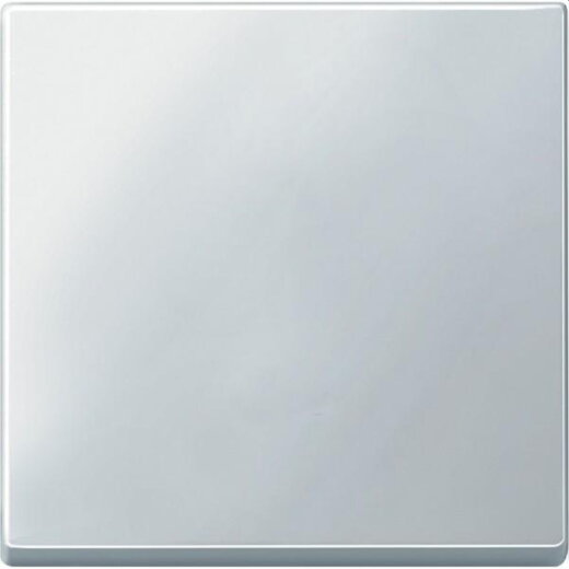 Merten Wippe 433119 polarweiss SYSTEM M