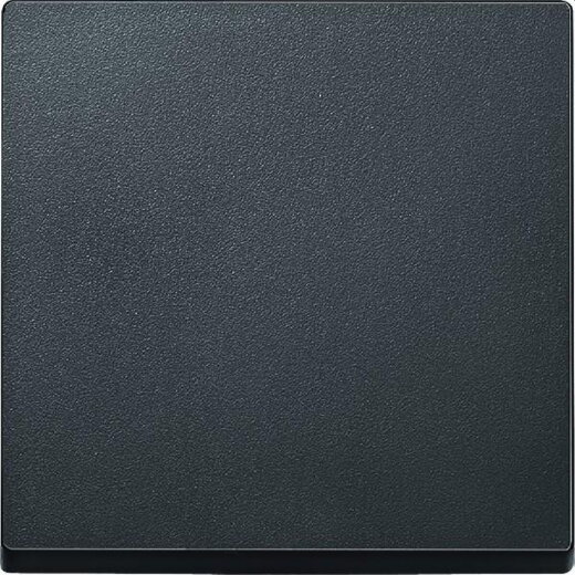 Merten Wippe 433114 anthrazit SYSTEM M