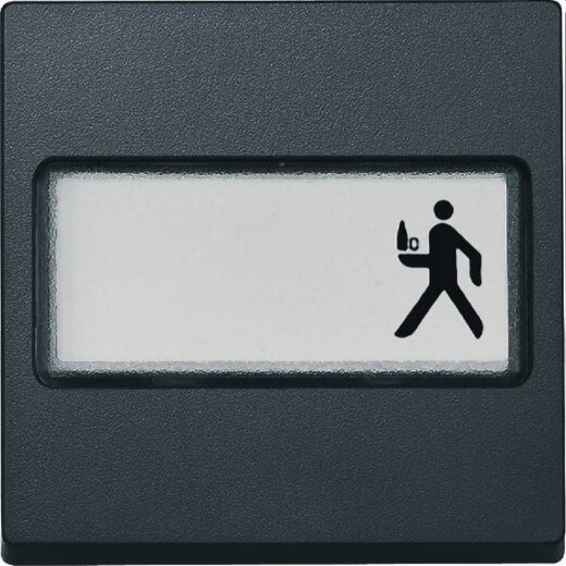 Merten Wippe 433314 anthrazit SYSTEM M