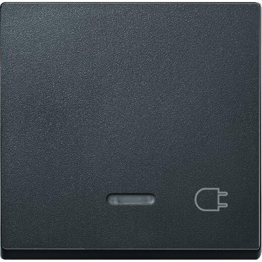 Merten Wippe 431714 anthrazit System M