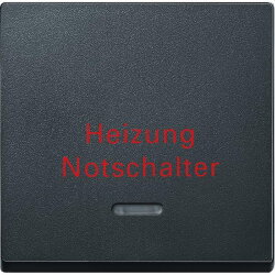 Merten Wippe 431814 anthrazit