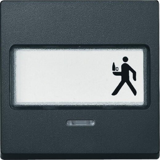 Merten Wippe 434614 anthrazit System M