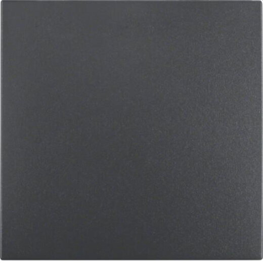 Berker Wippe M316201606 anthrazit matt