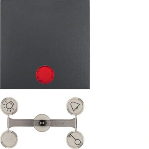 Berker Wippe M316211606 anthrazit matt