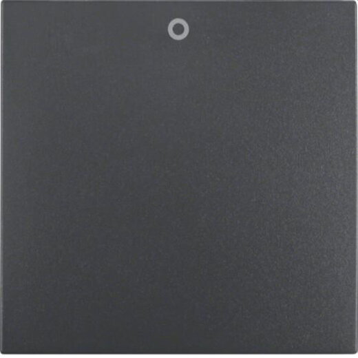 Berker Wippe M316221606 anthrazit matt