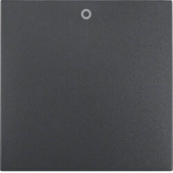 Berker Wippe M316221606 anthrazit matt