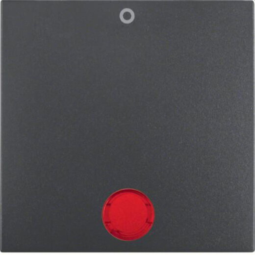 Berker Wippe M316241606 anthrazit matt