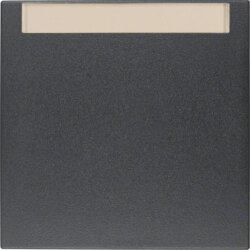 Berker Wippe M316261606 anthrazit matt