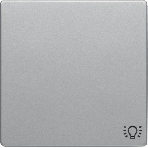 Berker Wippe M3Symbol Licht Q1/Q3 alu samt lackiert